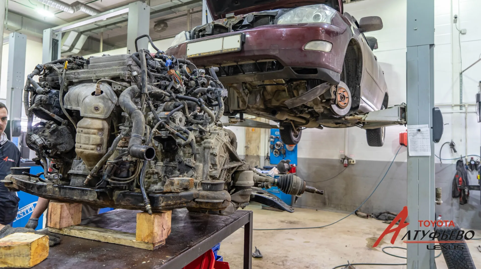 Особенности конструкции муфты VVT-i на Lexus RX второго поколения